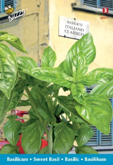 Basil Genovese (Ocimum basilicum) 900 seeds BU